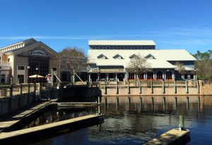 Disney World Grocery Delivery Guide: What to Order, Where It Goes & How to Save