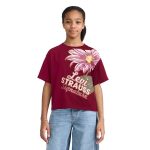 Levi Strauss Signature Girls Short Sleeve Graphic Tee